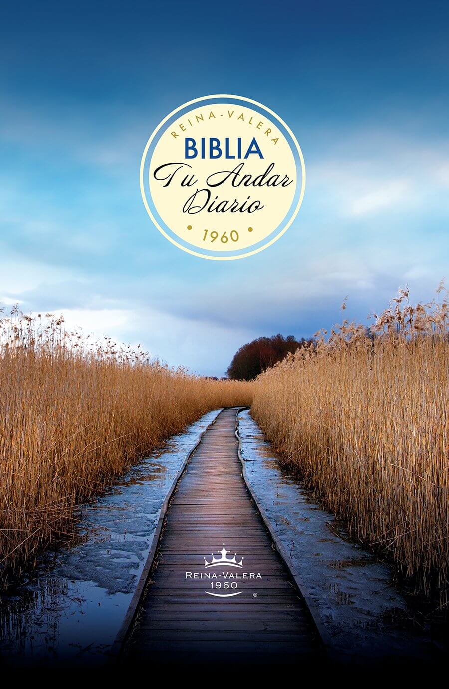BIBLIA TU ANDAR DIARIO RVR1960 RUSTICA