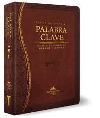 BIBLIA DE ESTUDIO PALABRA CLAVE - PIEL MARRON