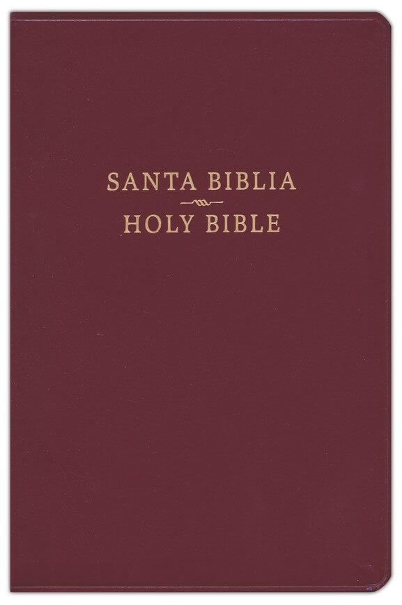 RVR 1960 / CSB BIBLIA BILINGÜE