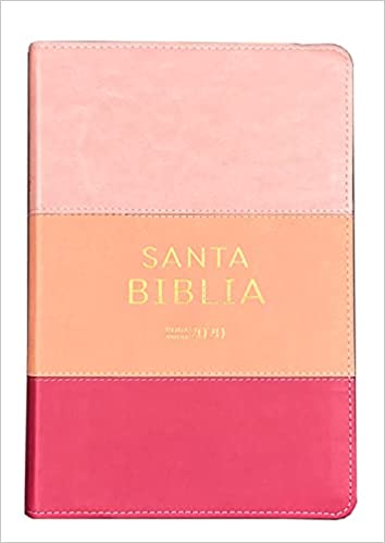 Biblia  Reina-Valera 2020- tricolor rosado y fucsia