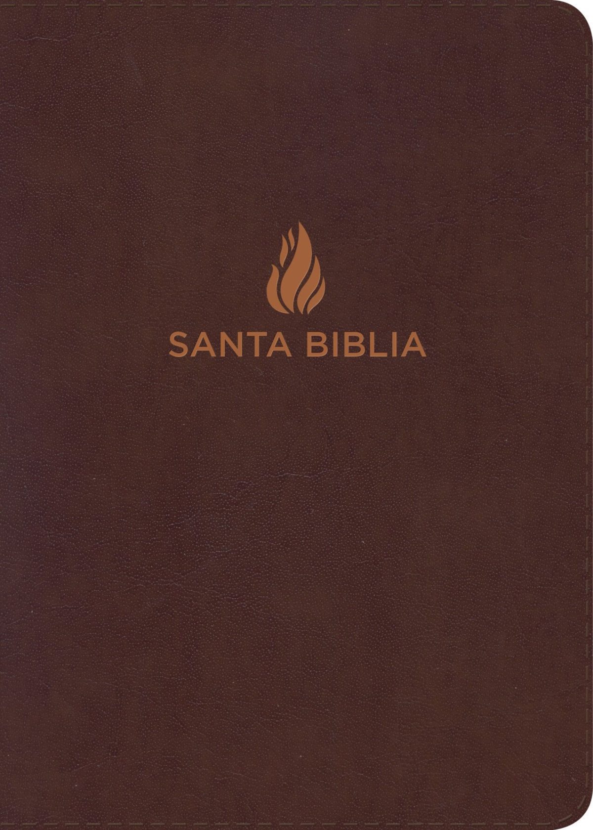 RVR 1960 Biblia Compacta Letra Grande marrón