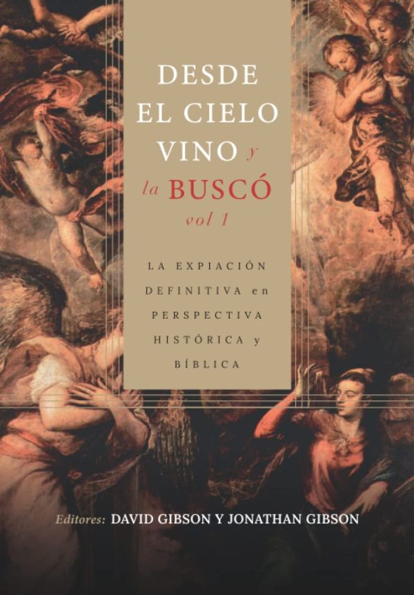 Desde el cielo vino y la buscó - Vol. 1