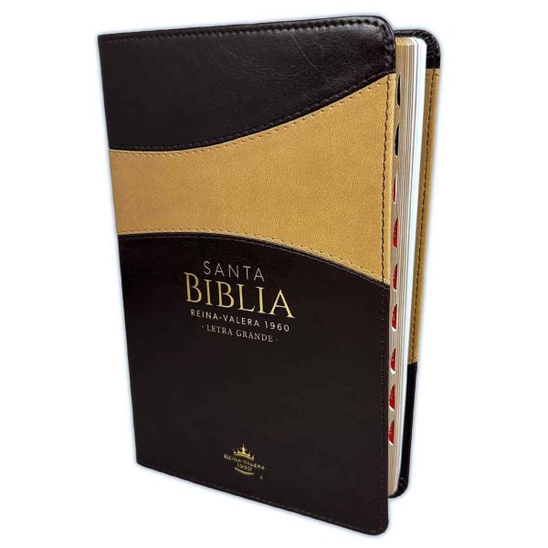 Biblia RVR60 065cti LG Bitono café/café con índice