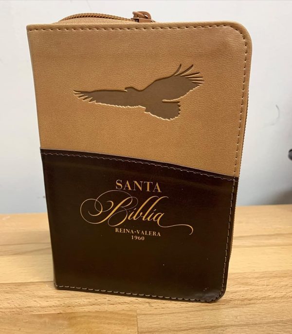 Biblia RVR60 025czti PJR - Expresión. Café/café. Águila