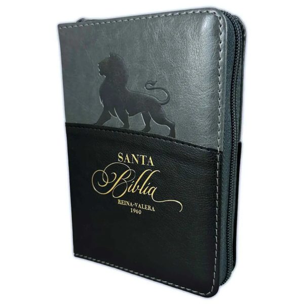 Biblia RVR60 025czti PJR - Expresión. Negro/gris León